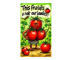 Волшебный помидор Христофора Колумба