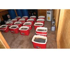 18 осуждённых за контрабанду метамфетамина на $64 млн