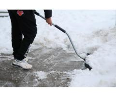 Более 2500 жителей получили штрафы за неубранный снег