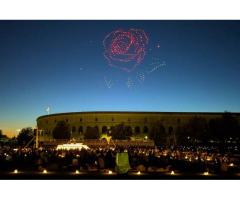 В округе Лос-Анджелес пройдет шоу DroneArt