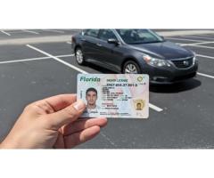 Флорида обязала сдавать экзамены на водительские права только на английском