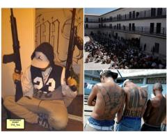 Трое участников MS-13 признаны виновными в серии убийств в Лас-Вегасе и Лос-Анджелесе